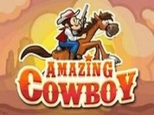 Amazing-cowboy