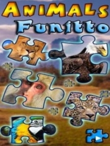 Animalsfunitto