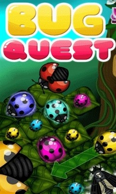 Bug quest